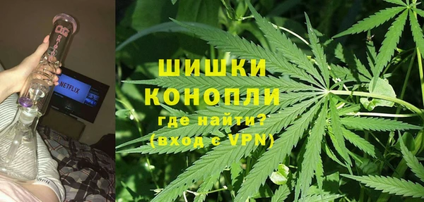 гашик Алзамай