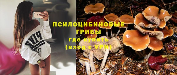 2c-b Алексеевка