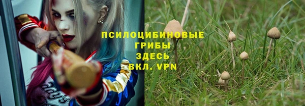 молекула духа Алексин
