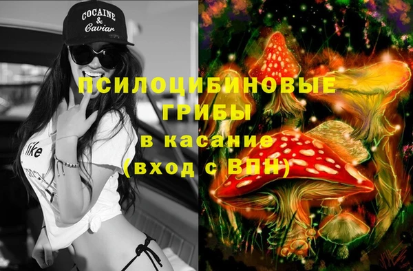 гашик Алзамай