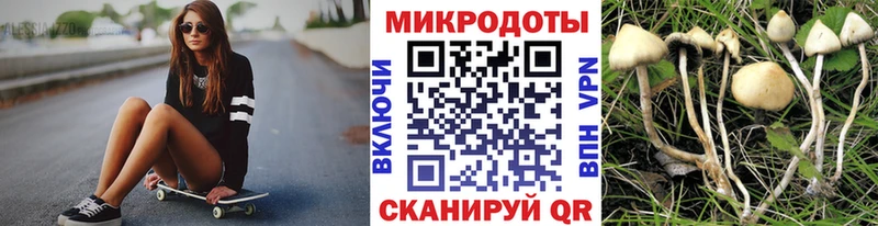 где купить   Нижние Серги  Галлюциногенные грибы GOLDEN TEACHER 